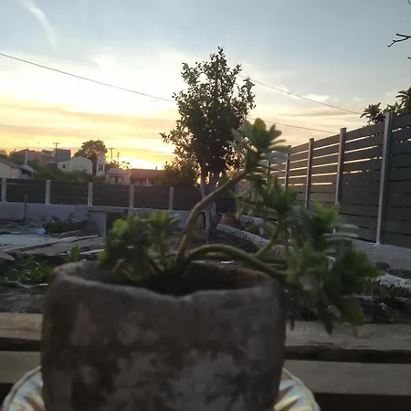 Apartament Nikos'
