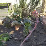 Nikos' Appartamento